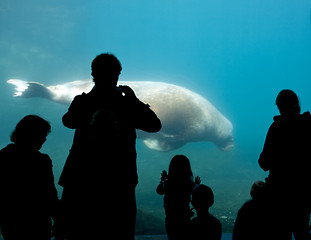 Image showing people silhouettes in oceanarium