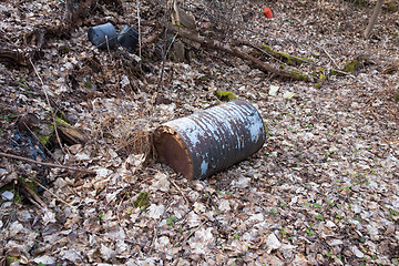 Image showing Barrel in nature