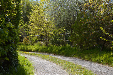 Image showing Tree-lined driveway