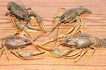 Image showing Boiled crayfish beer snack .