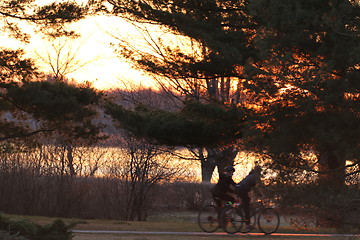 Image showing A stroll on bikes on a sunny afternoon