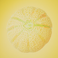 Image showing Retro look Melon fruit