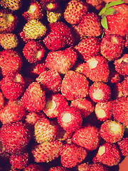 Image showing Retro look Strawberries