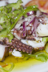 Image showing octopus salad