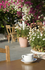 Image showing coffee in the garden