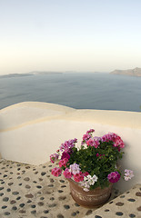 Image showing flowers on staircase with stone inlay santorini