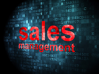 Image showing Marketing concept: Sales Management on digital background