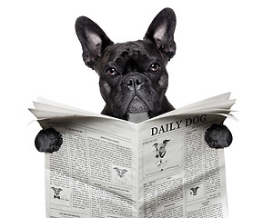 Image showing newspaper bulldog