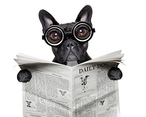 Image showing newspaper bulldog