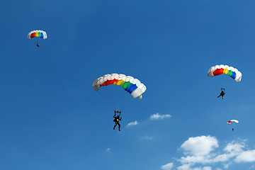 Image showing unidentified skydiver on blue sky