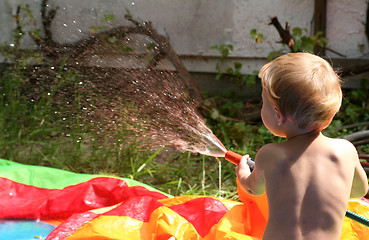 Image showing Sommer im Garten