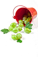 Image showing green gooseberry in metal bucket 