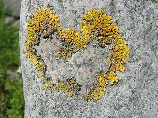 Image showing Heart on stone