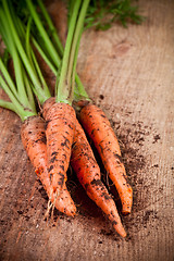 Image showing fresh carrots bunch 