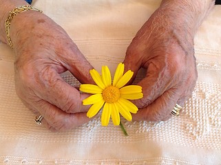 Image showing old hands