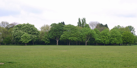 Image showing Urban Park