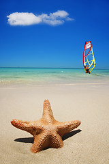 Image showing Beach Summer Scene