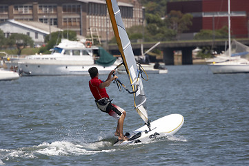 Image showing Sailboarder