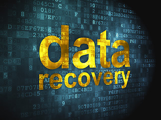 Image showing Information concept: Data Recovery on digital background