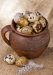 Image showing quail eggs