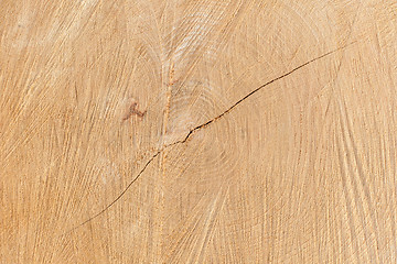 Image showing Close-up wooden texture