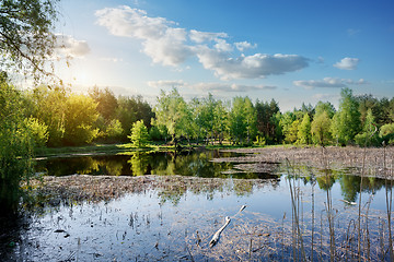 Image showing Duckweed on the river