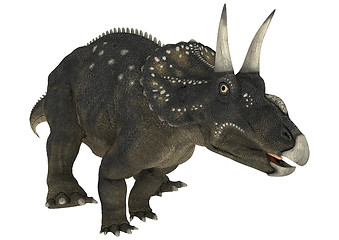 Image showing Dinosaur Diceratops