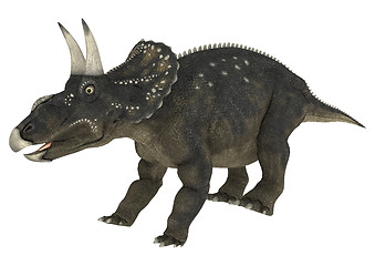 Image showing Dinosaur Diceratops