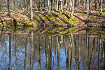 Image showing lakeside scenery