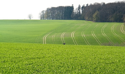 Image showing agriculture