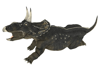 Image showing Dinosaur Diceratops