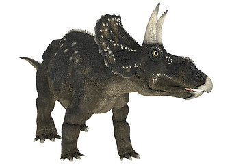 Image showing Dinosaur Diceratops
