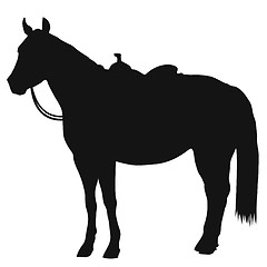 Image showing Western Horse Silhouette