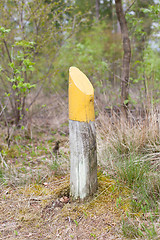 Image showing Yellow marking at a walking path