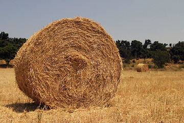 Image showing Haystack