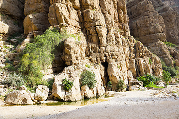 Image showing Wadi Shab Oman