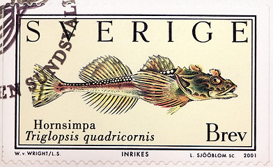Image showing Fourhorn Sculpin Stamp