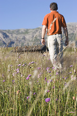 Image showing Hiker