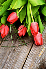 Image showing Spring Tulips