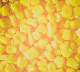 Image showing Retro look Maize corn