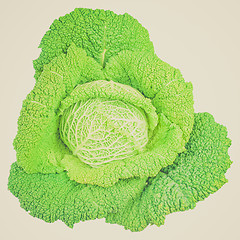 Image showing Retro look Green cabbage isolated