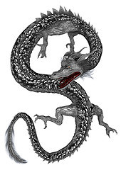 Image showing Silver Eastern Dragon