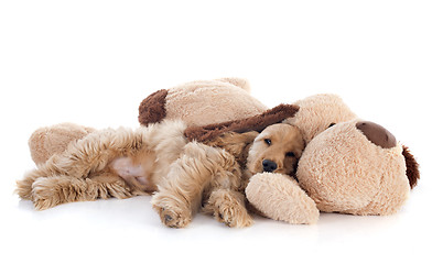 Image showing puppy cocker spaniel and toy