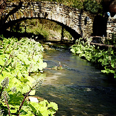 Image showing Rock bridge