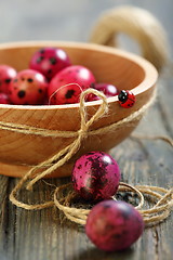 Image showing Easter eggs and wooden bowl with ladybug.