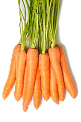 Image showing Bunch of carrots