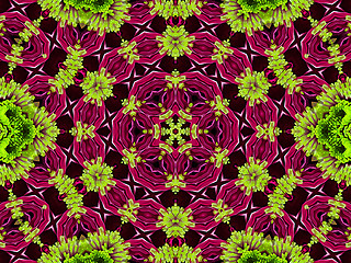 Image showing Chrysanthemum natural pattern