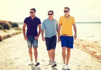 Image showing group of friends walking on the beach