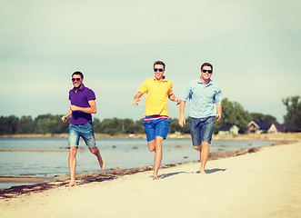 Image showing group of friends having fun on the beach