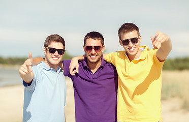 Image showing group of friends having fun on the beach